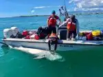 Program Když žraloci útočí VI (4)